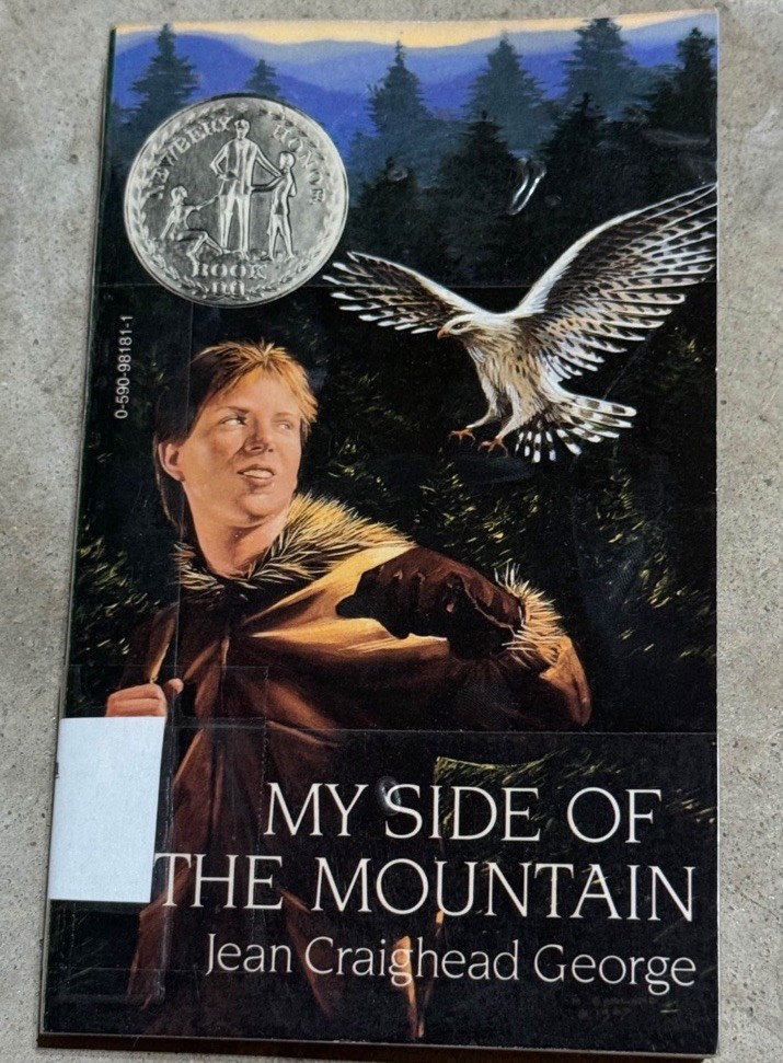 My Side of the Mountain – Paperback By Jean Craighead George Set of 12