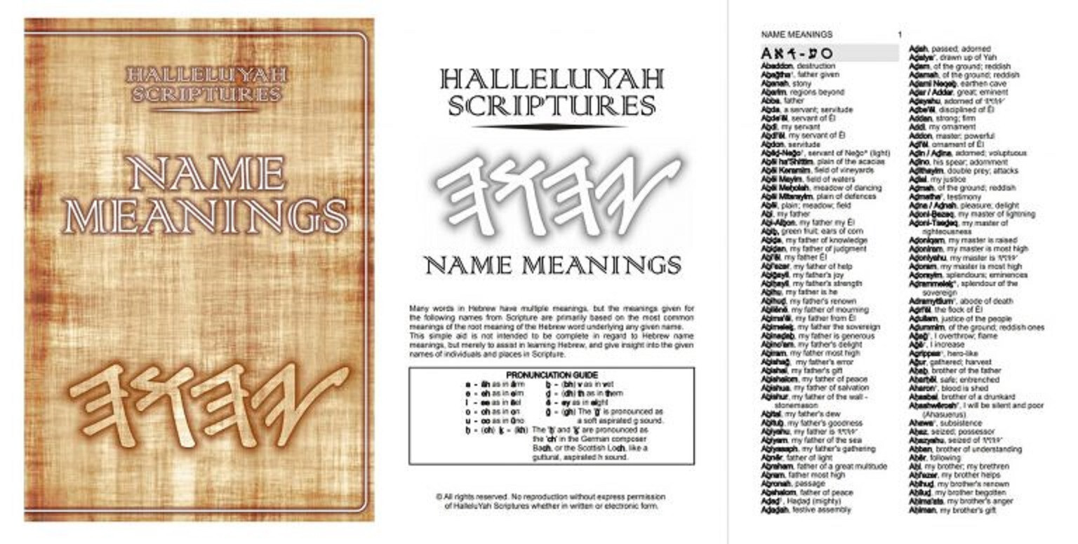 Genuine Leather LARGE PRINT HALLELUYAH SCRIPTURES Bible + Free Books