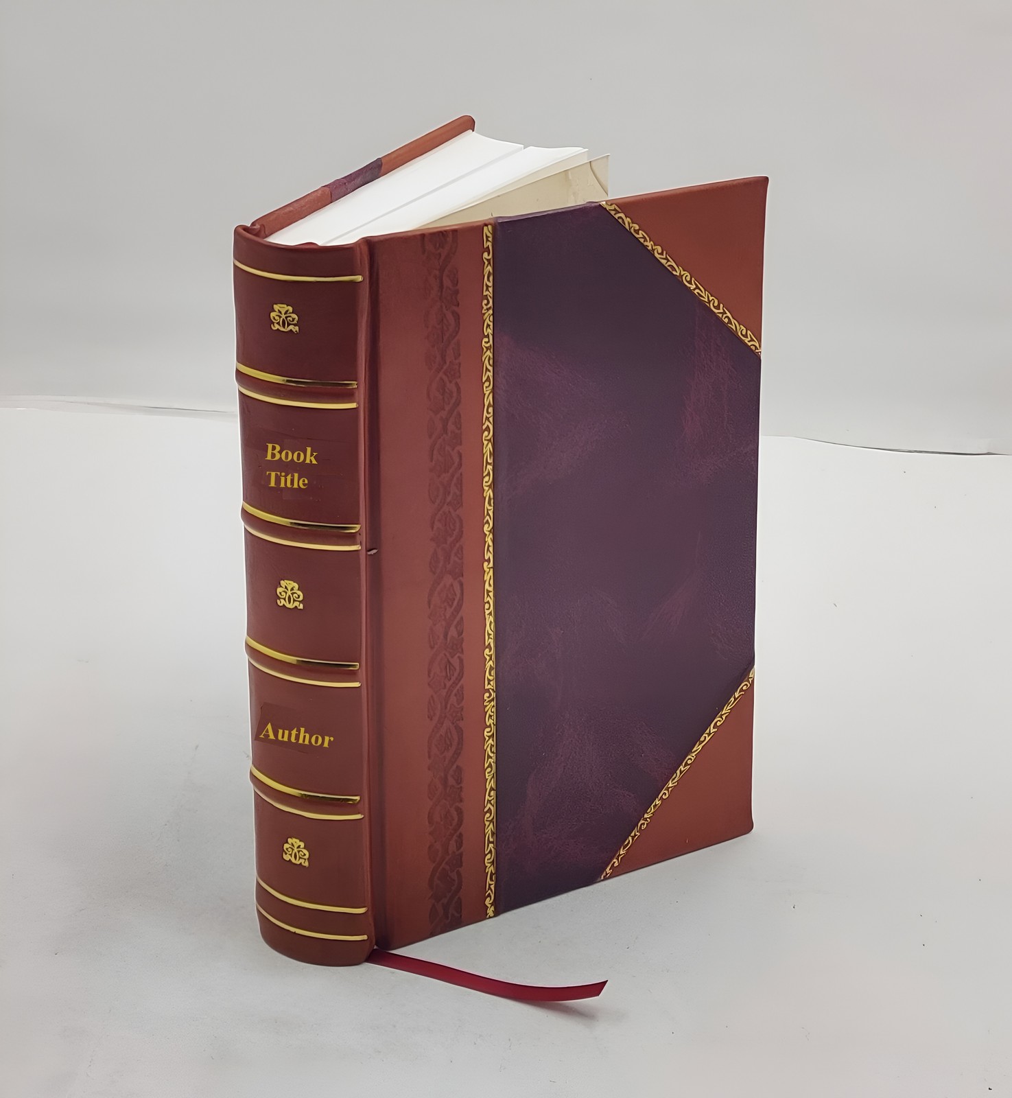 Die Petrefactenkunde auf ihrem jetzigen Standpunkte durch die Be [Leather Bound]