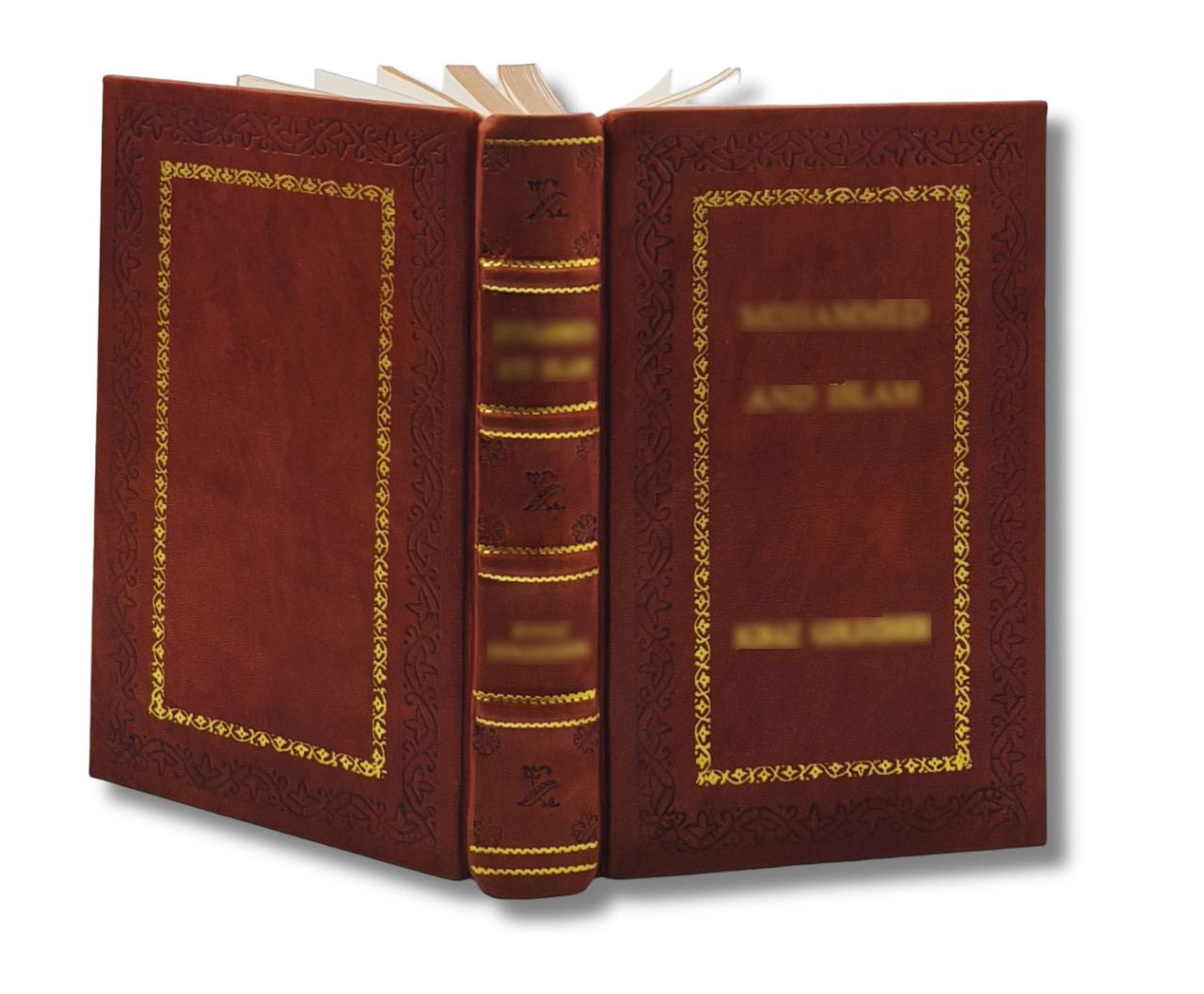 Good Energy: The Surprising Connection Between Glucose, [Premium Leather Bound]