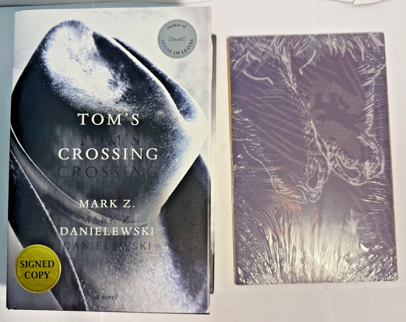 Tom’s Crossing: A Novel by Mark Z. Danielewski 2025 HC SIGNED 1st w/Art Print