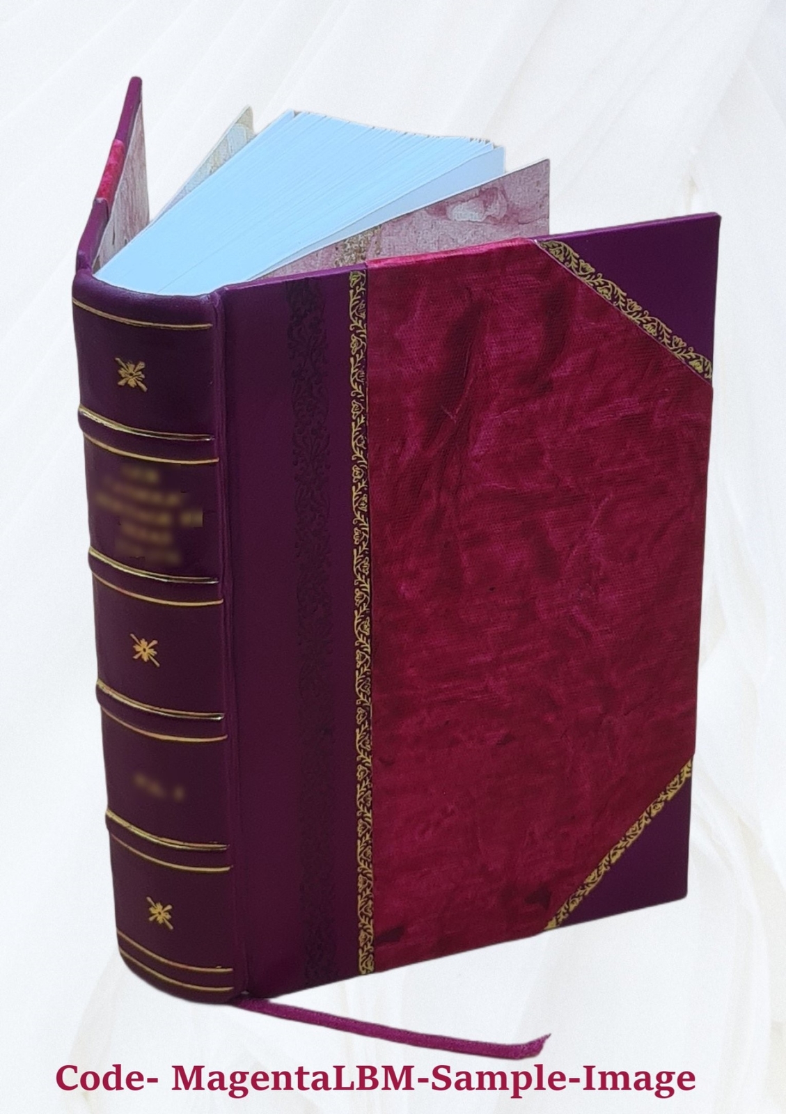 Athanasii Kircheri e Soc. Jesu mundus subterraneus, in XII libro [Leather Bound]