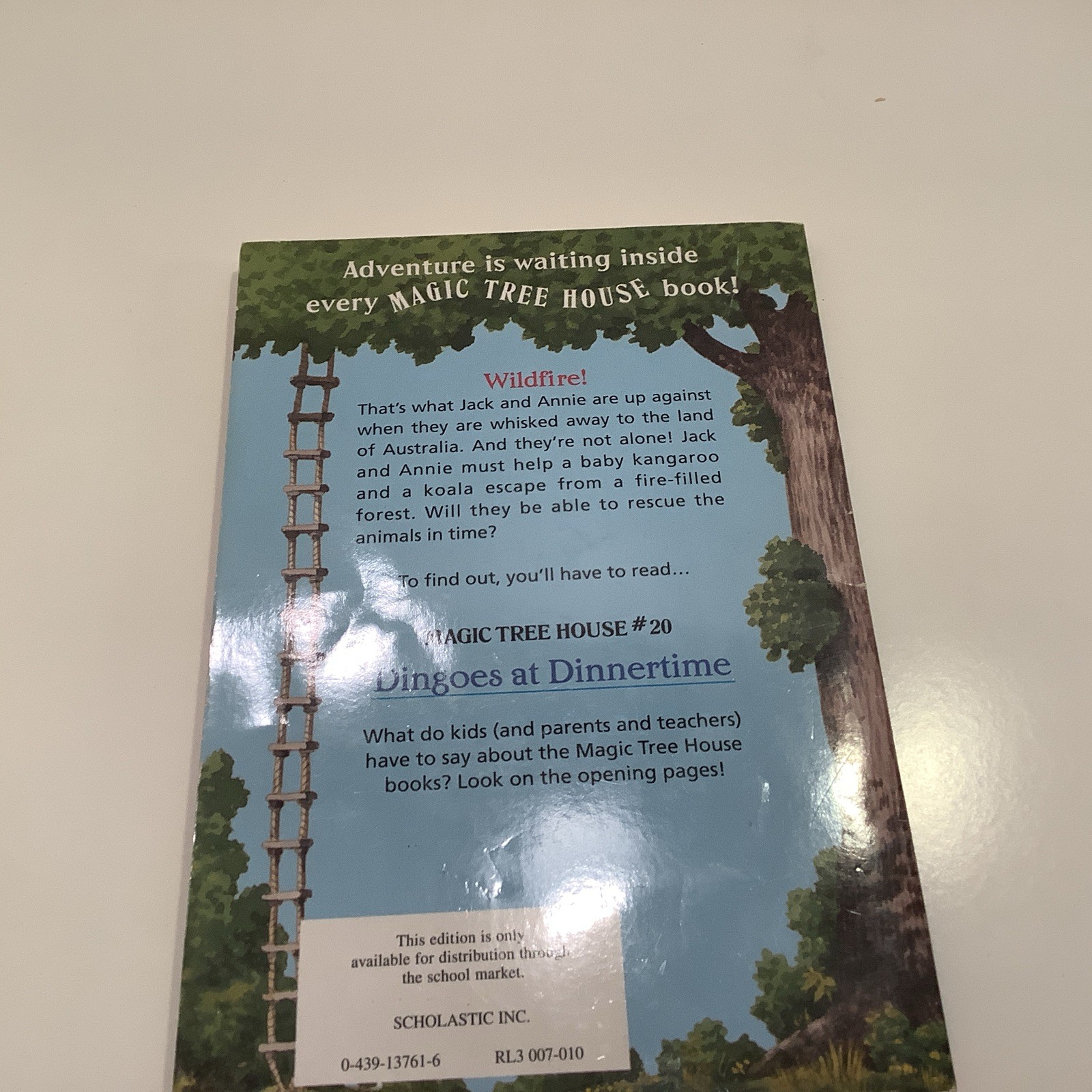 Magic Tree House box set 1-4 + various books 8, 13, 20, 21