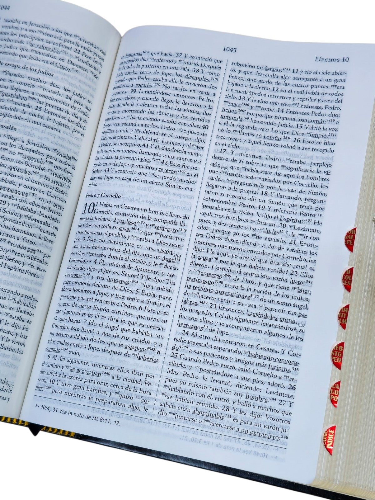 Biblia de Estudio Palabra Clave RV1960, con diccionario en hebreo Indice Negro