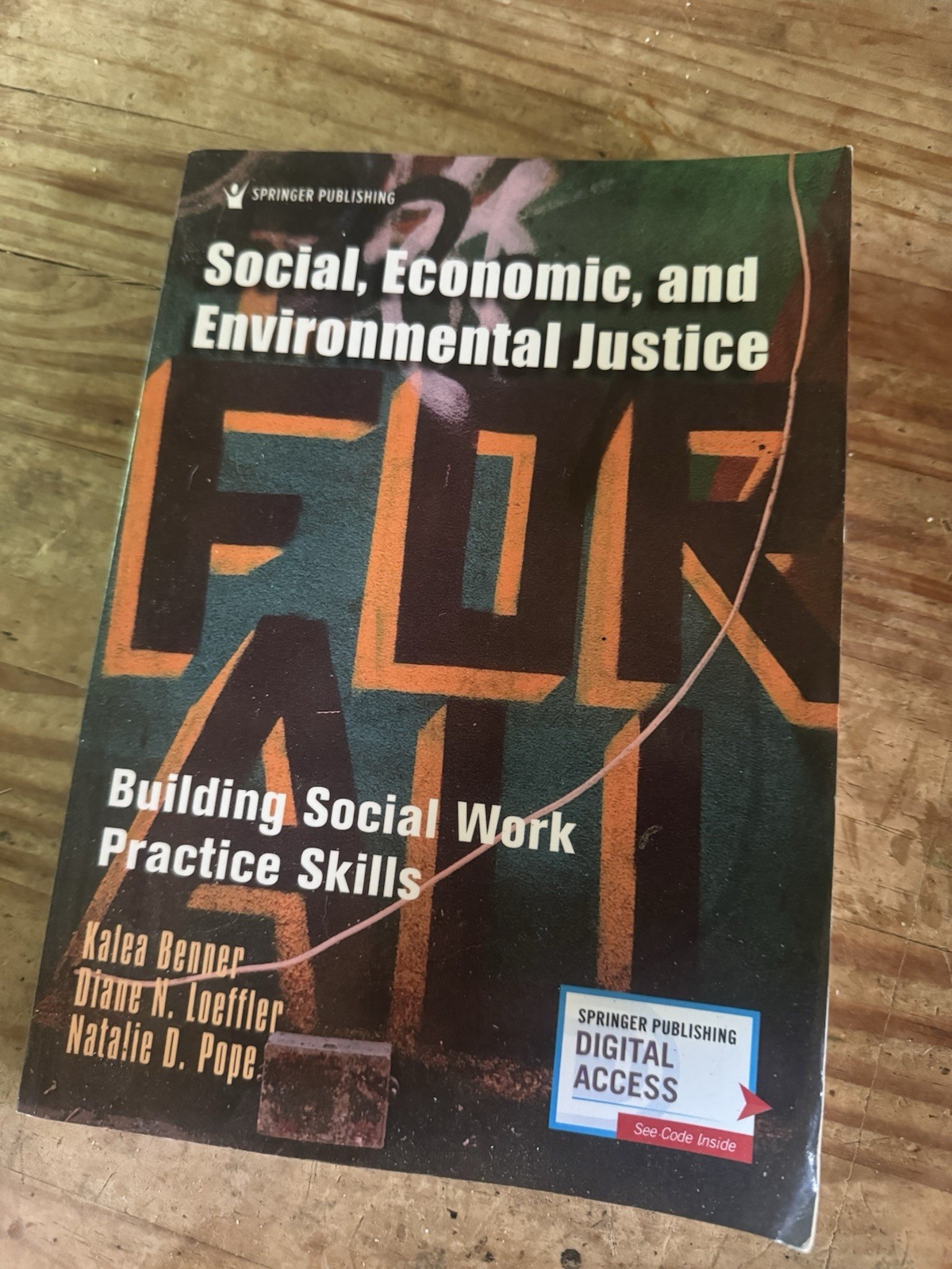 Springer Social, Economic & Environmental Justice PB