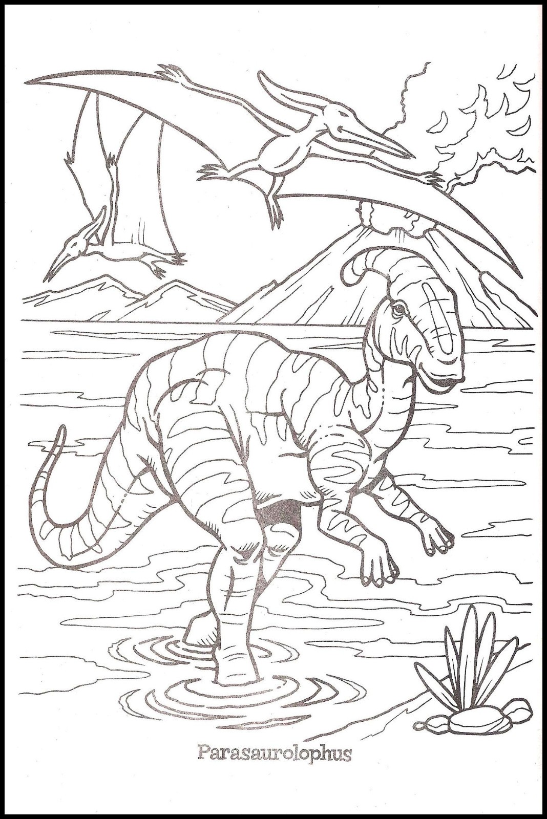 Dino Clash – Coloring & Activity – Book