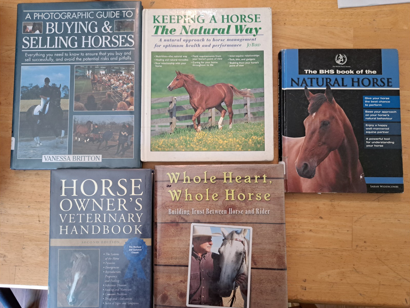 Lot of 5 Horse Books Equine Riding Training first aid Equestrian natural Care