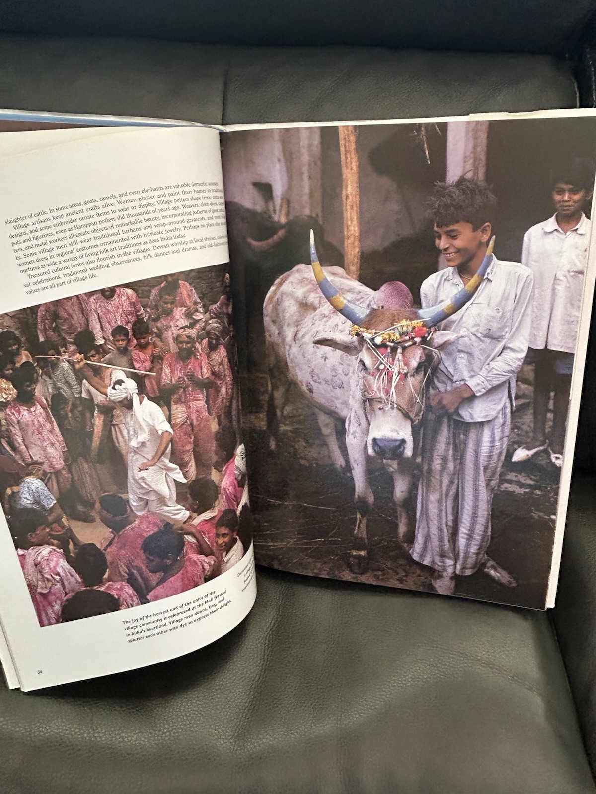 India: Land of Dreams and Fantasy by Doranne Jacobson Hardcover Illustrated