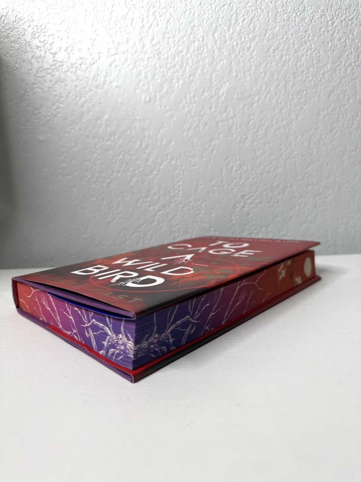 To Cage a Wild Bird (Deluxe Limited Edition) by Brooke Fast – Hardcover – NEW