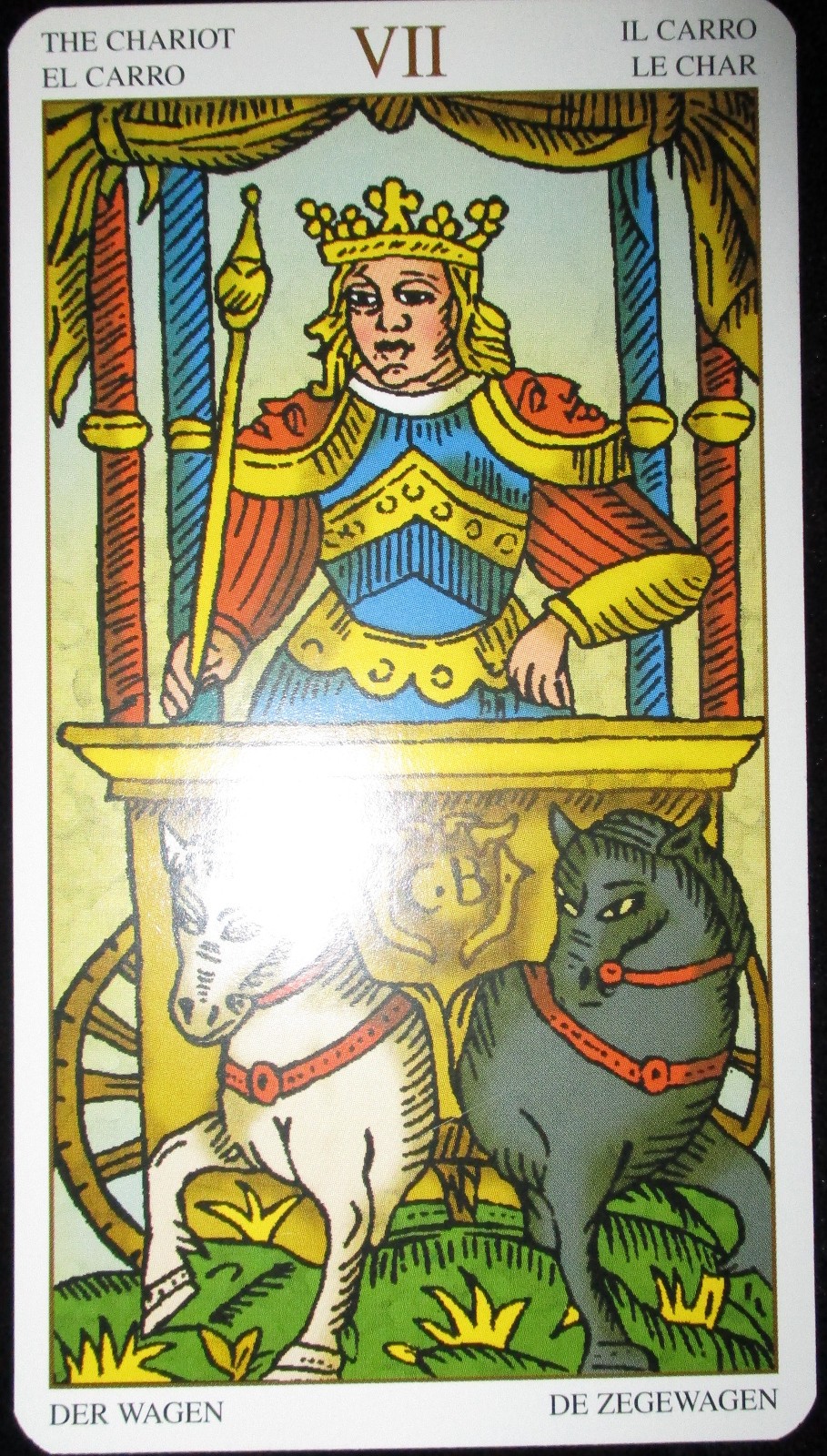NEW ~ HUGE PROFESSIONAL ED. MARSEILLE TAROT CARDS & BOOK SET 4 1/2″ X 8″ DECK