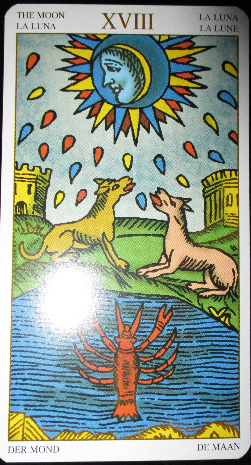 NEW ~ HUGE PROFESSIONAL ED. MARSEILLE TAROT CARDS & BOOK SET 4 1/2″ X 8″ DECK