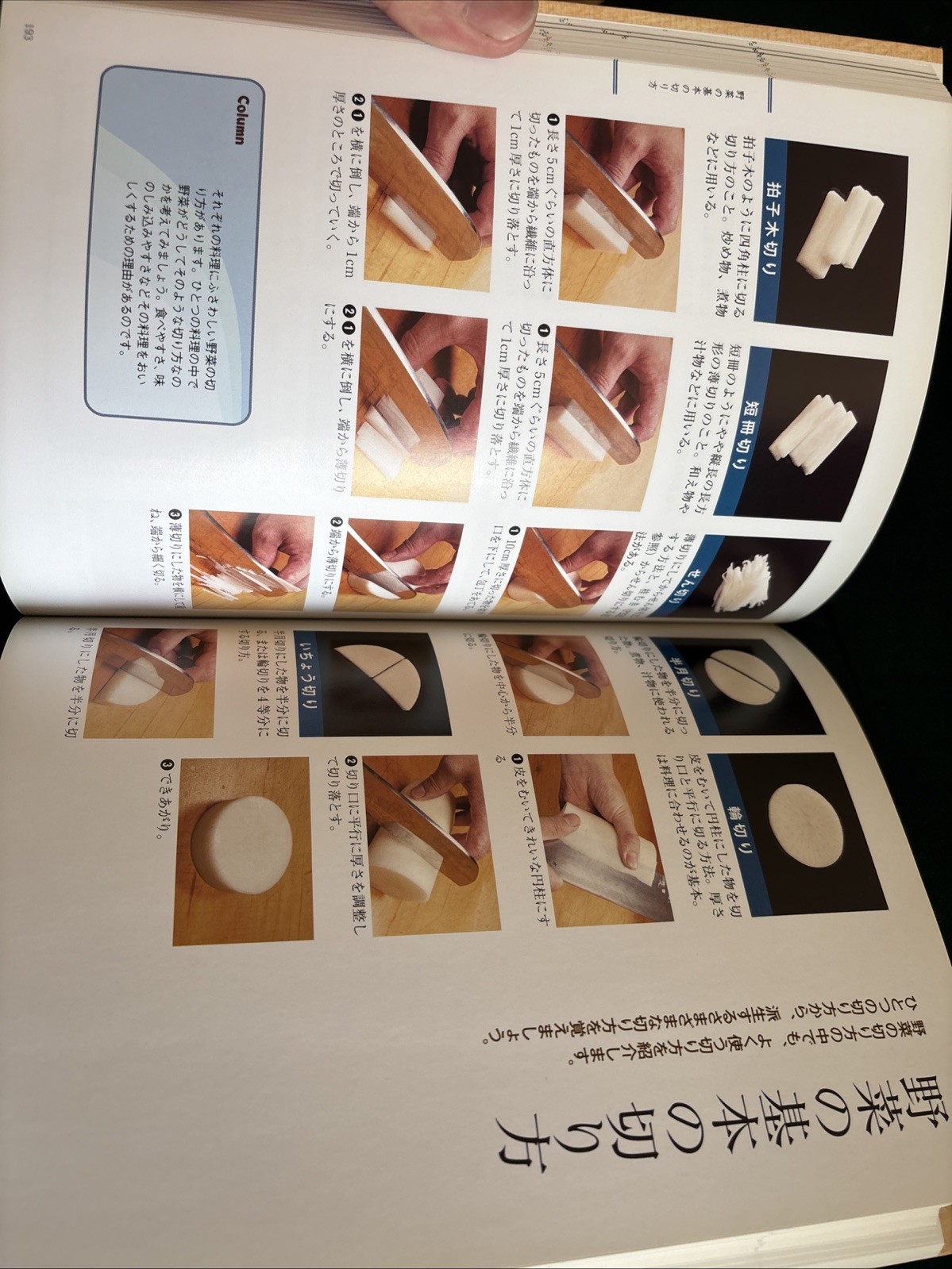 The Most Helpful Kitchen Knife Textbook – Japanese Cuisine – 141 Recipes – Japan