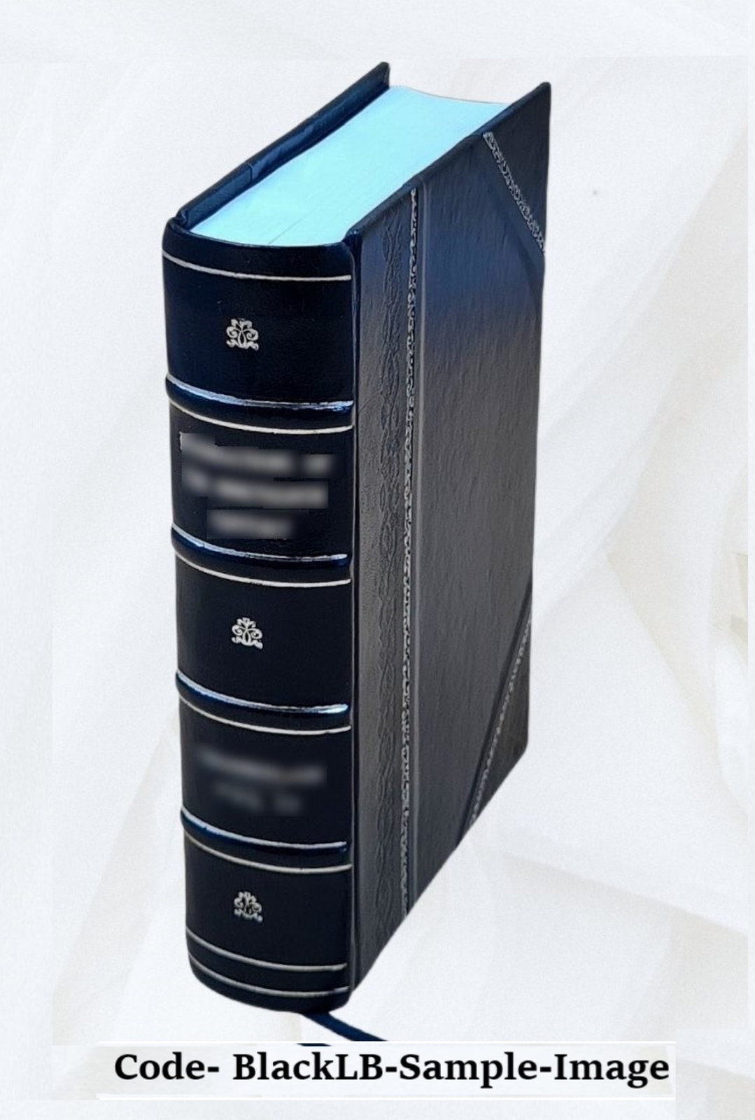 sadhanamala Volume 1 1925 [Leather Bound]