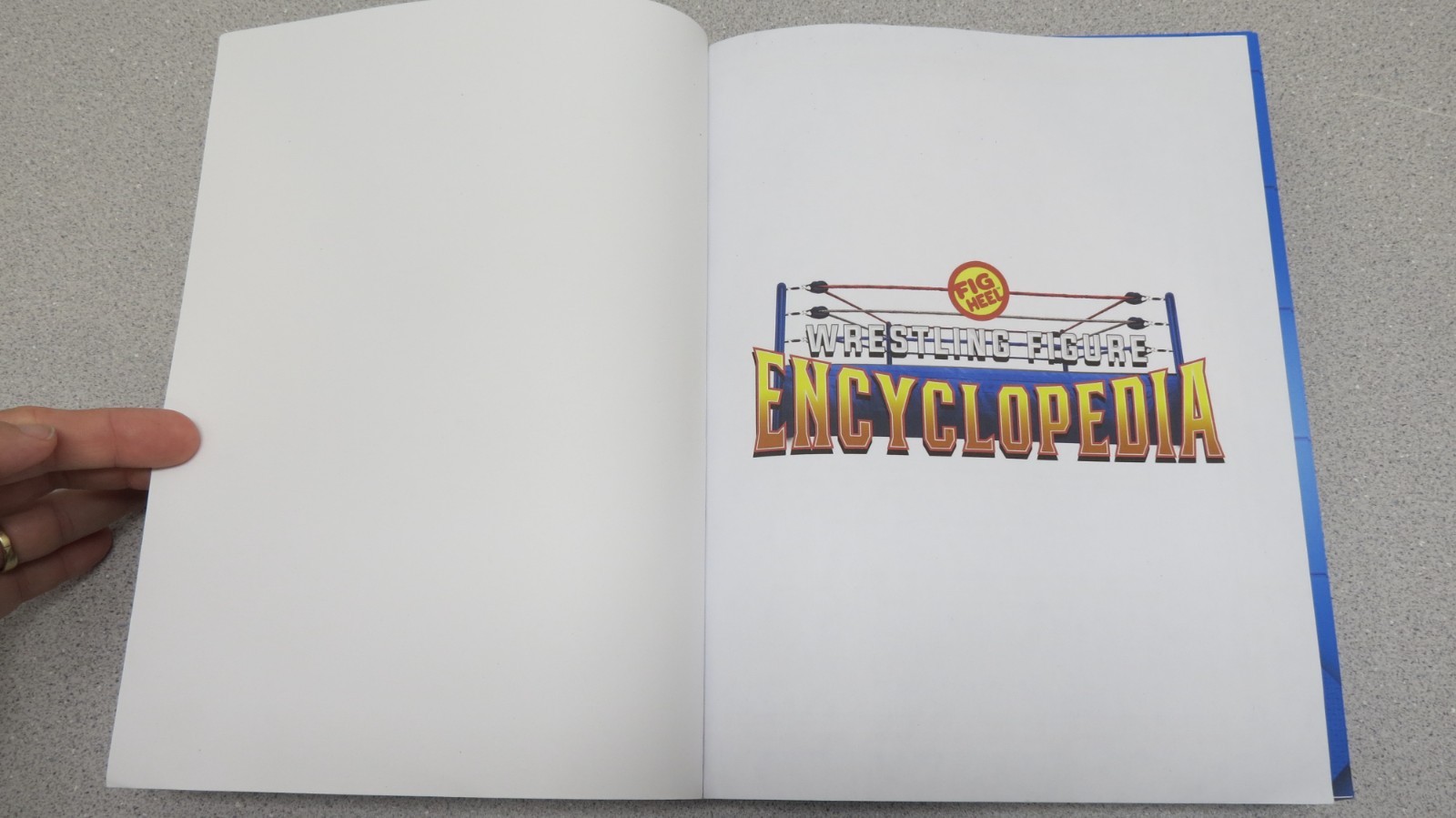Wrestling Figure Encyclopedia Modern Edition – 2010 to present – Fig Heel 2025