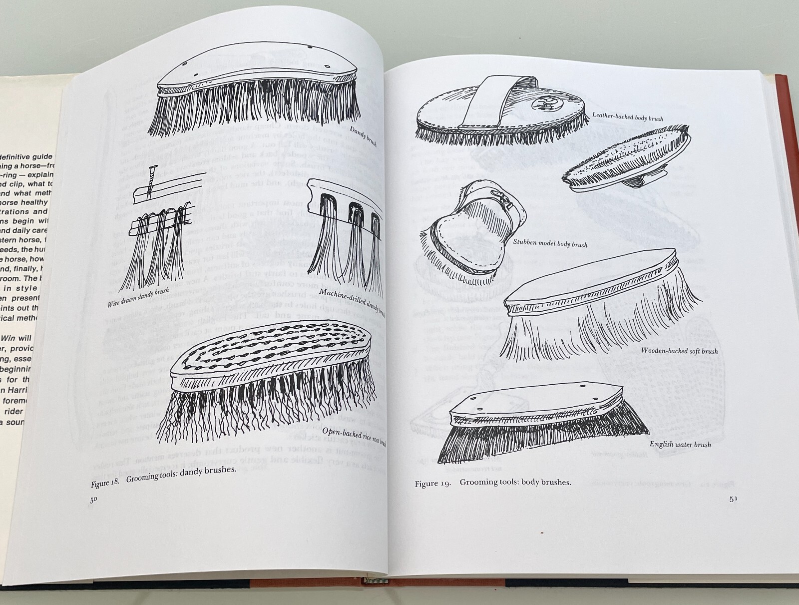 Grooming to Win – Susan E. Harris – 1977
