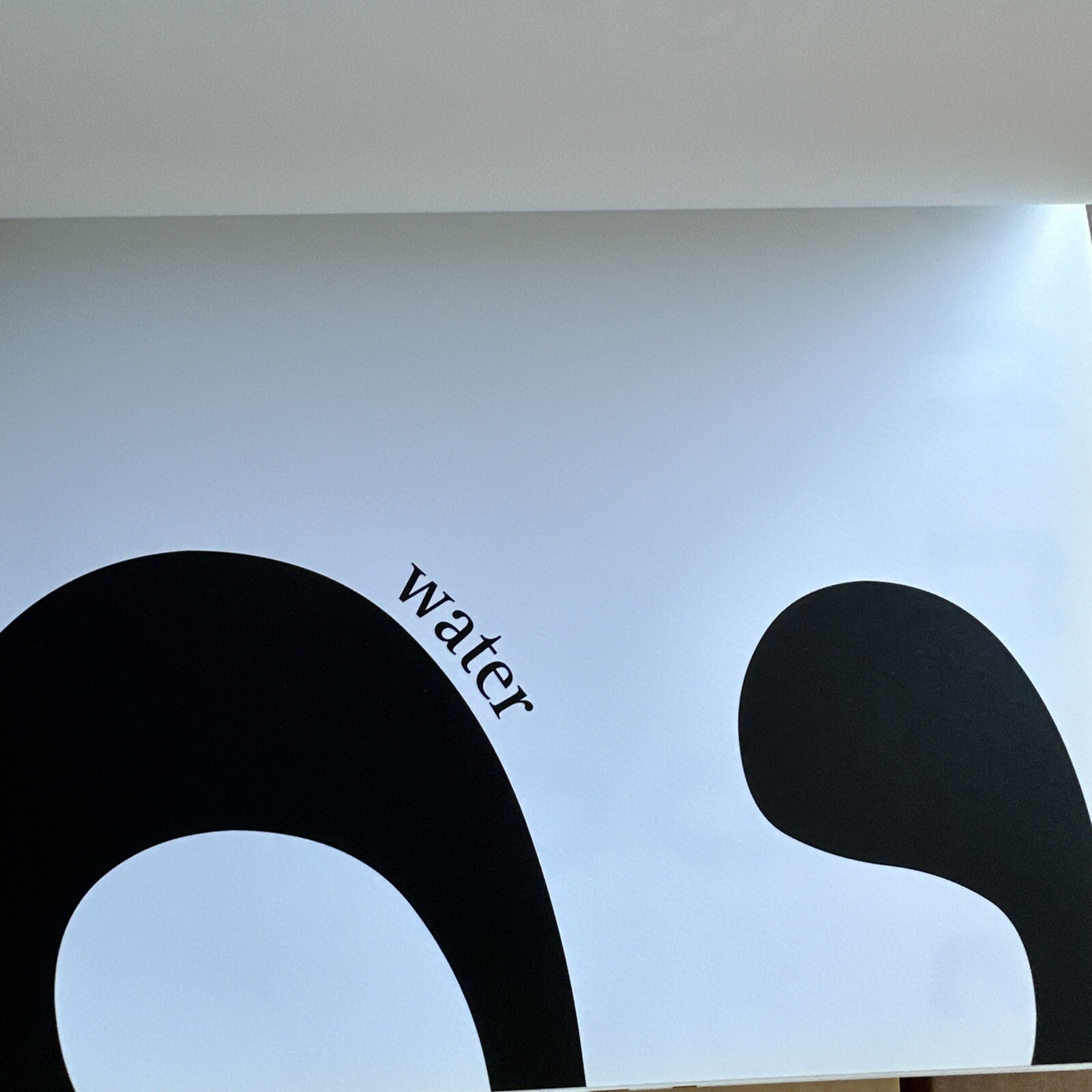 Pictowords – Semantic Typography Niggli Japan Wortbilder Semantische Typografie