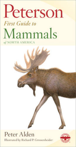 Peterson First Guide Mammals of North America – Paperback By Alden, Peter – GOOD