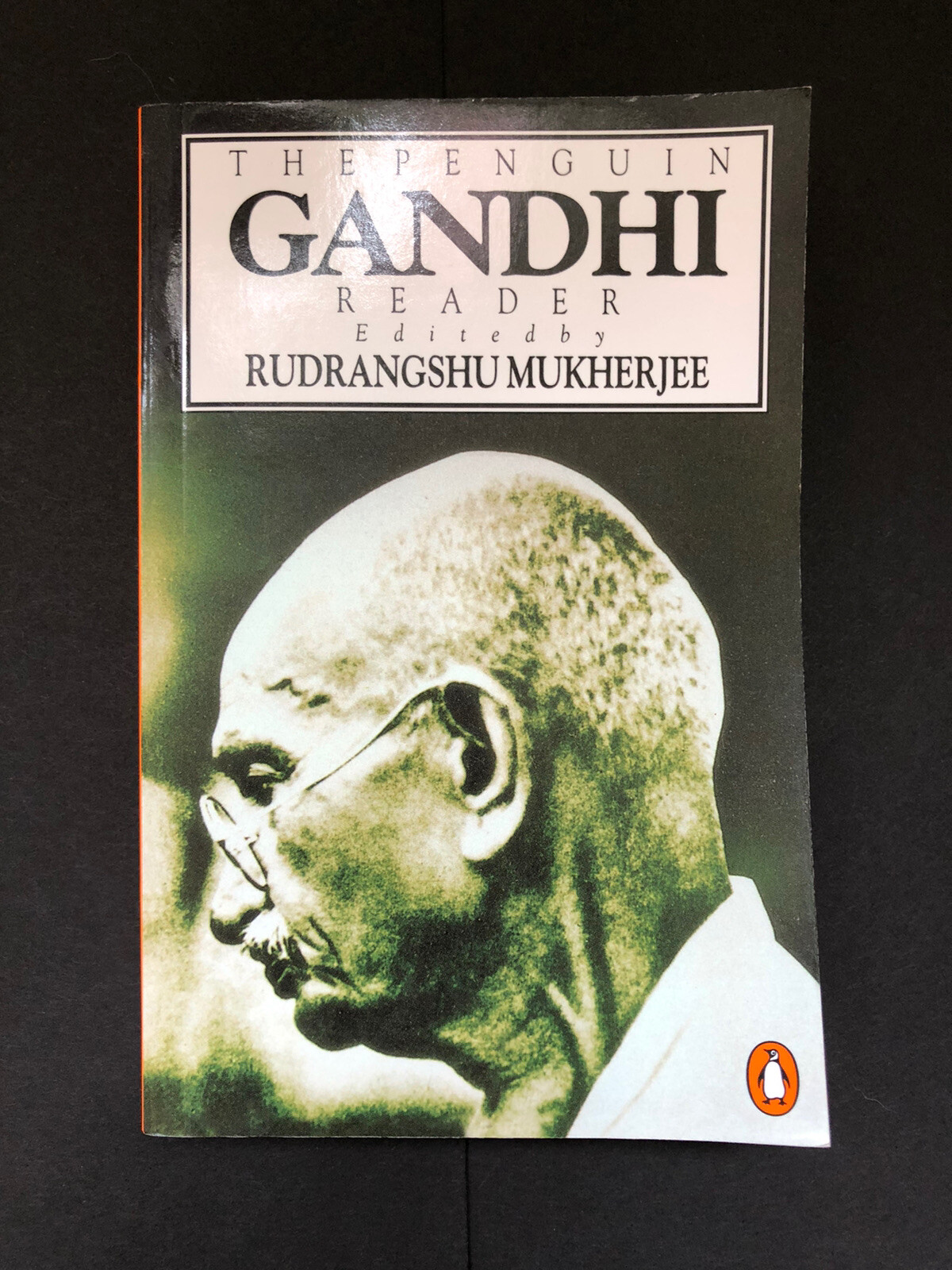 The Penguin Gandhi Reader by Mohandas K. Gandhi (1995, UK-B Format Paperback)