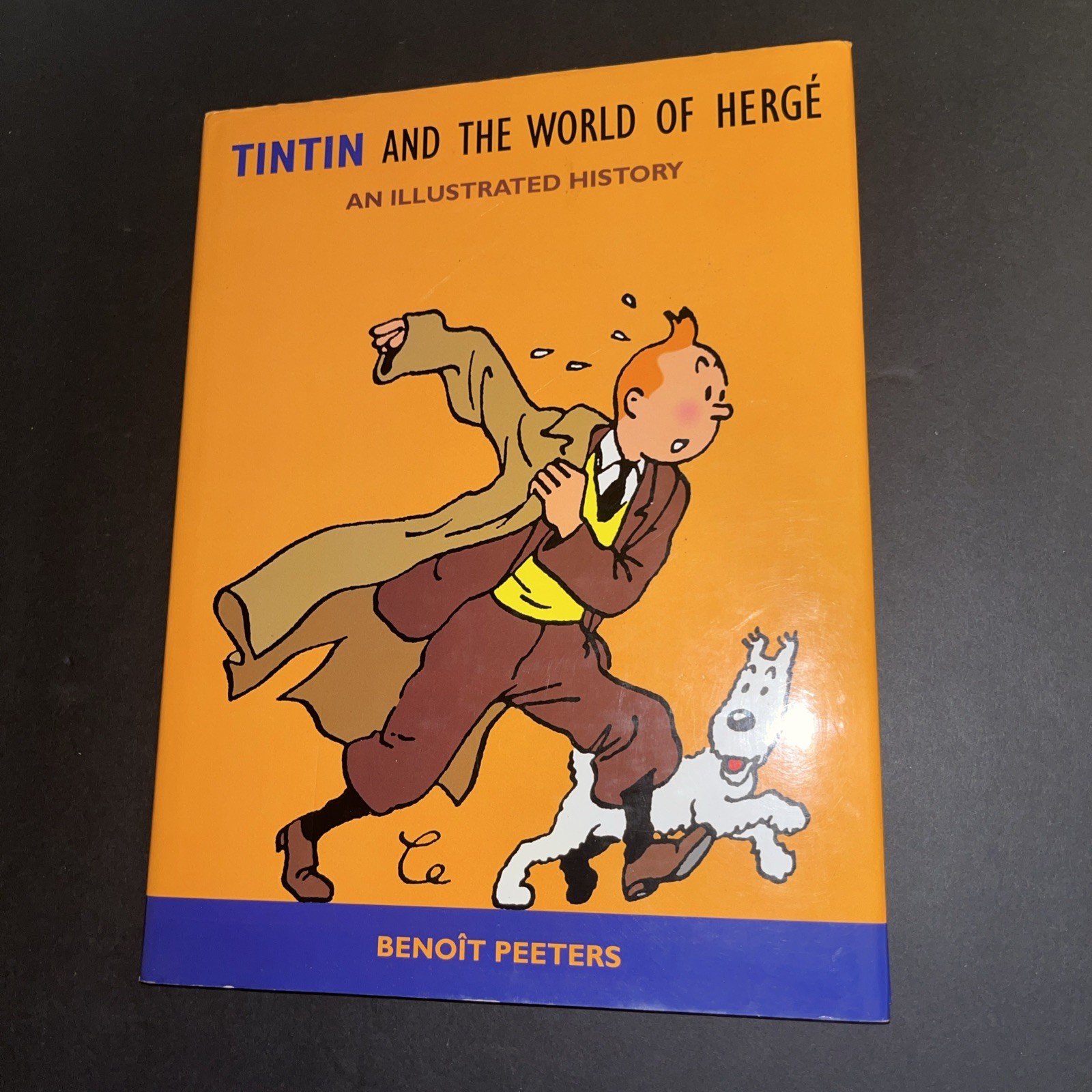 Tintin and the World of Herge : An Illustrated History by Benoit Peeters (1992,
