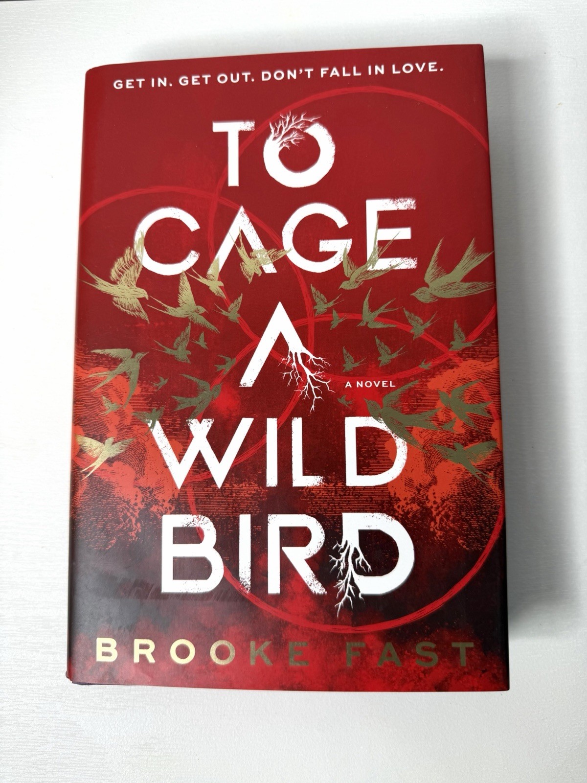 To Cage a Wild Bird (Deluxe Limited Edition) by Brooke Fast – Hardcover – NEW