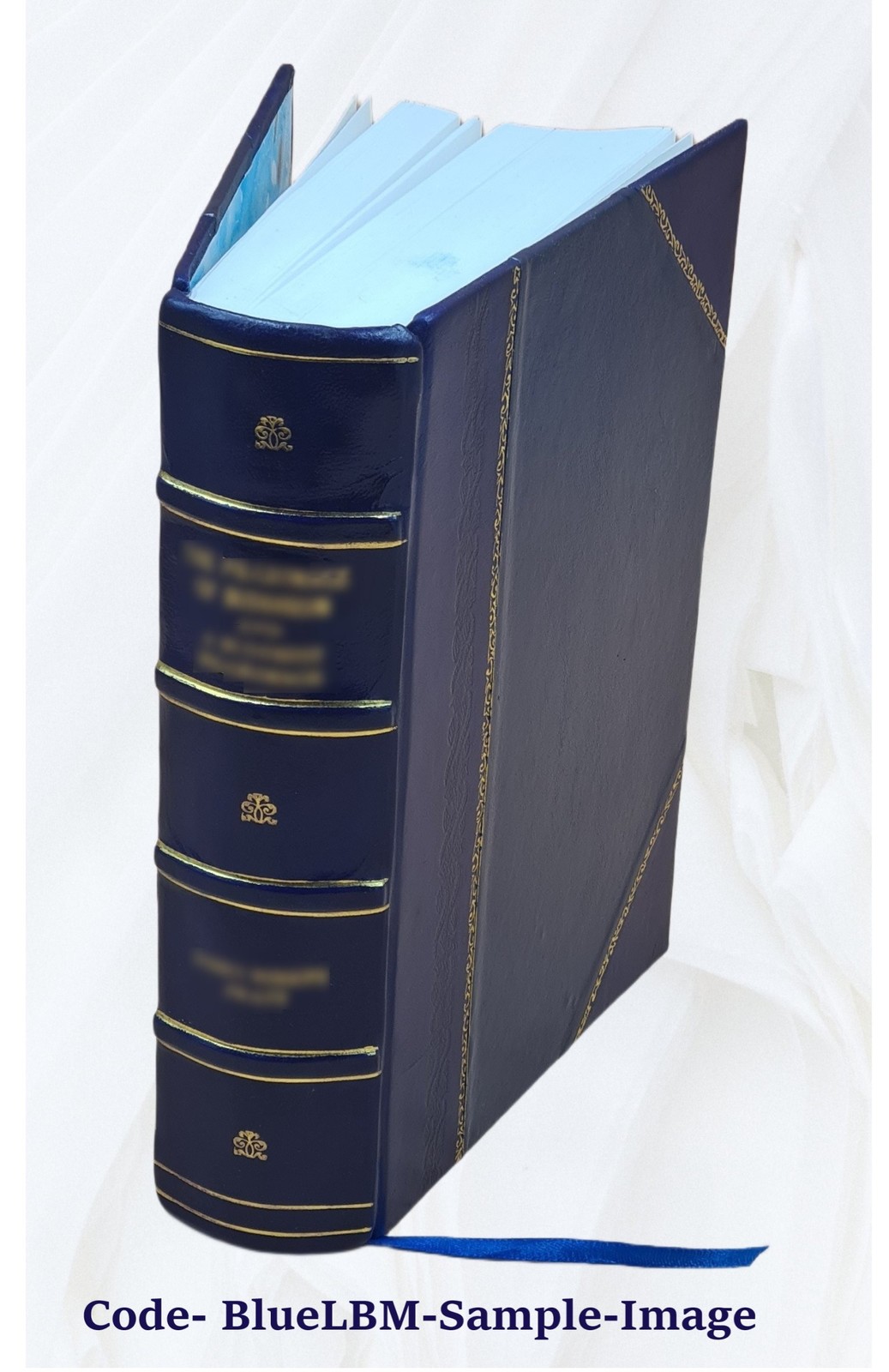 Entwurf einer urkundlichen geschichte des gesamm V. 3-4 18271828 [Leather Bound]