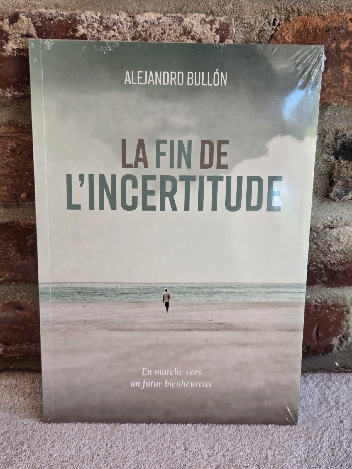 La Fin De L’Incertitude Alejandro Bullon The End Of Uncertainty Brand New Sealed
