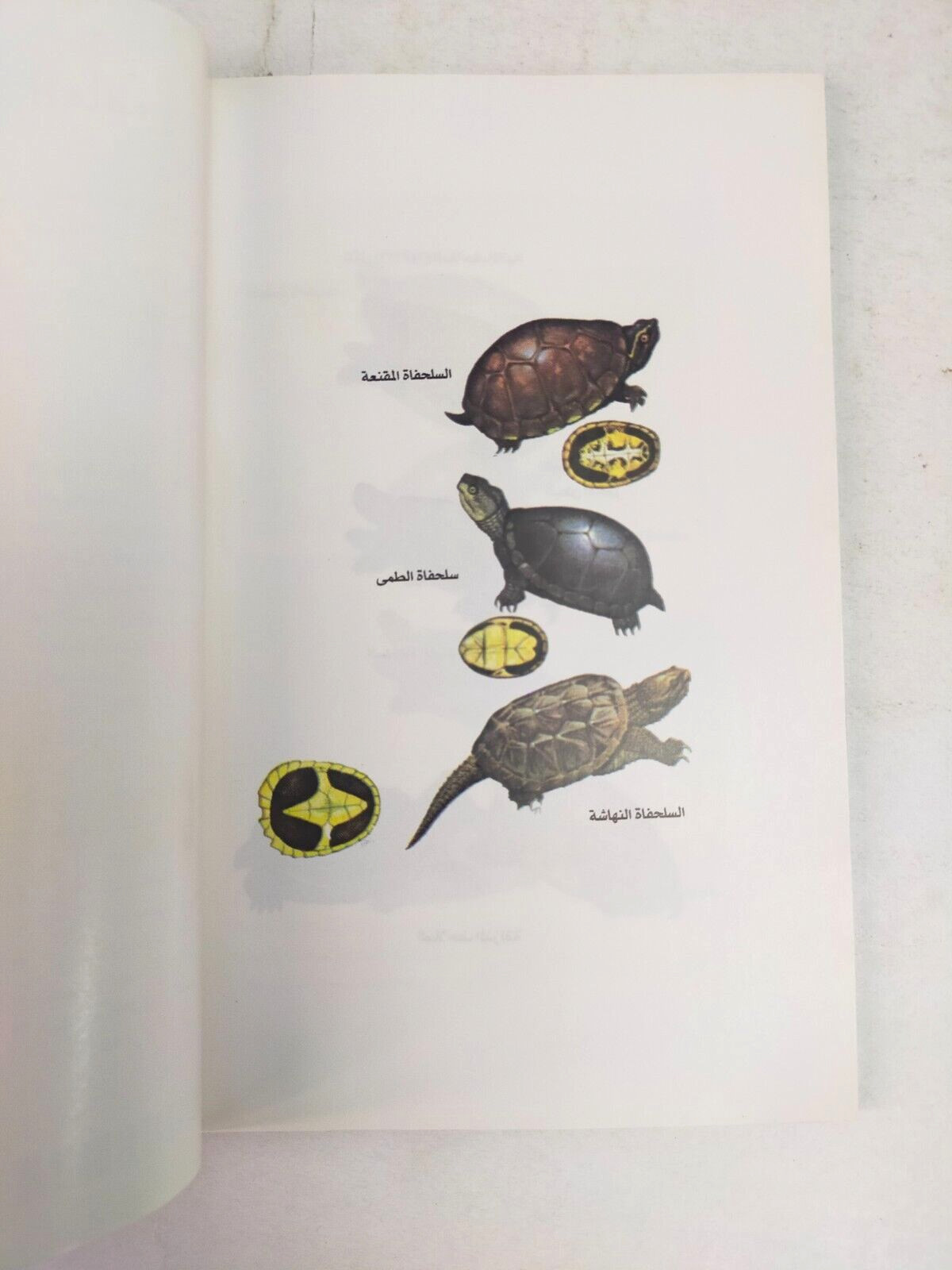 3 Pets books كتب تربية القطط و اسماك الزينة والسلاحف المائية و تغذية الحيوان