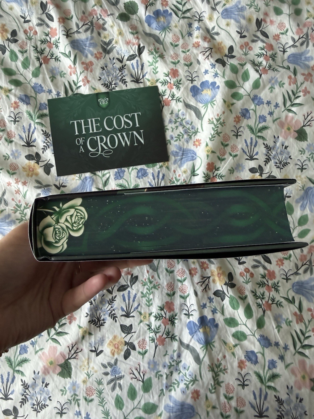 Fairyloot The Lure of Wolves and Whispers by Amanda Connolly Special Edition