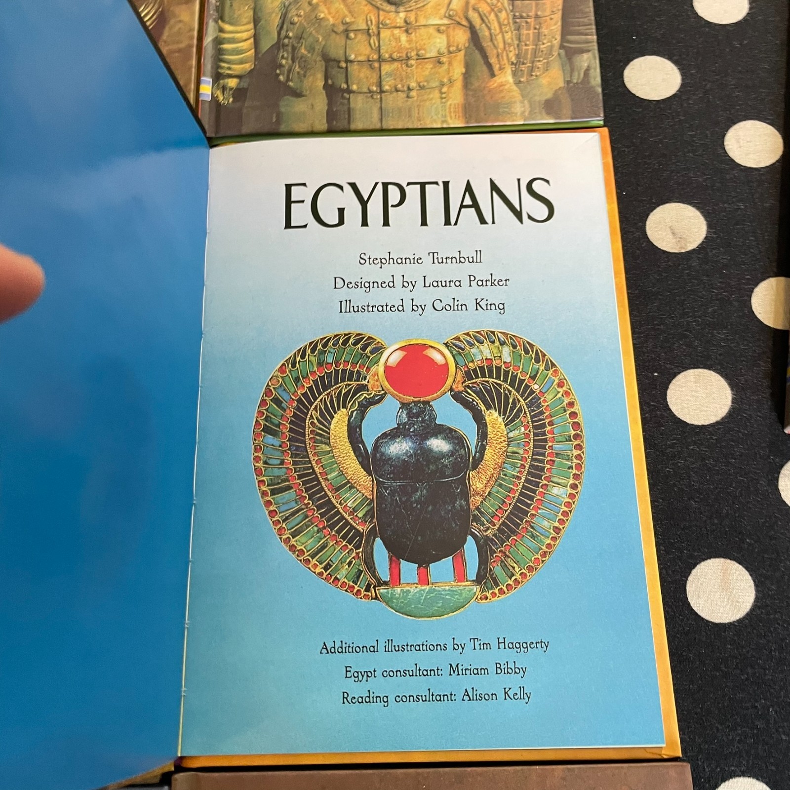 Usborne Beginners History 10-Volume Hardcover Box Set CELTS VIKINGS EGYPTIANS