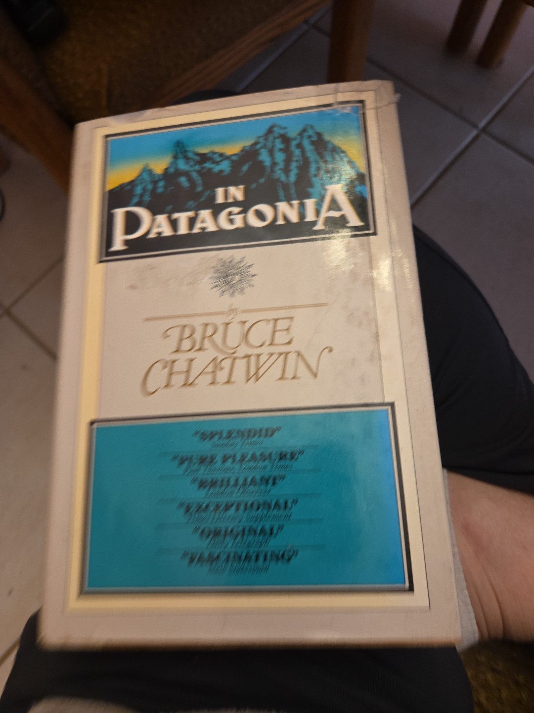 In Patagonia by Bruce Chatwin (1978, Hardcover)