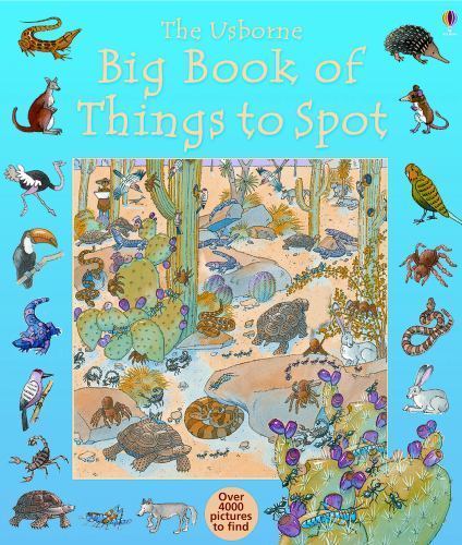 The Usborne Big Book of Things to Spot by Brocklehurst, Ruth