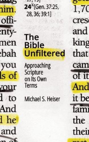 Michael S. Heiser The Bible Unfiltered (Paperback) (UK IMPORT)