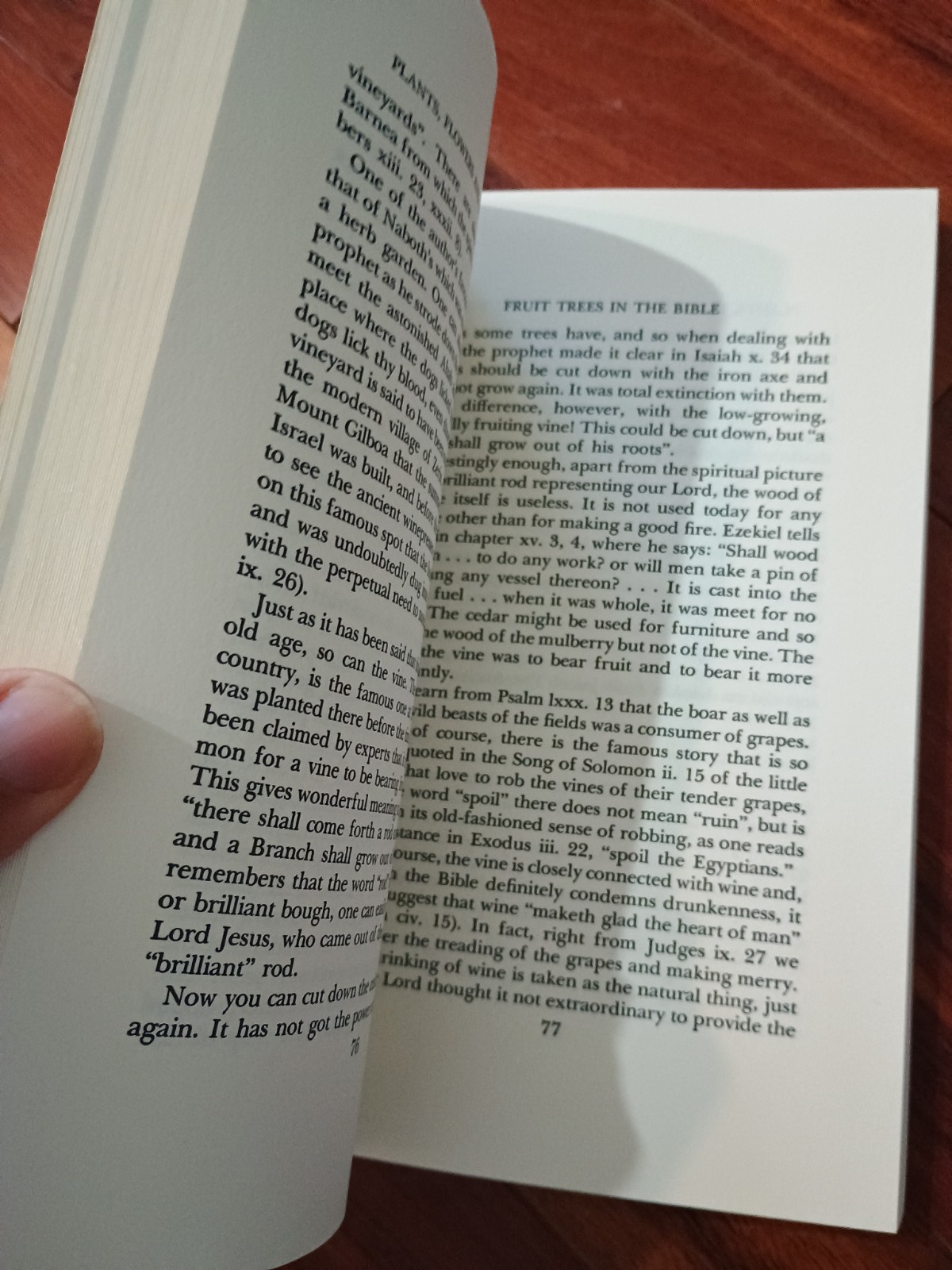 Plants, Flowers and Herbs of the Bible Paperback W. E. Shewell-Co