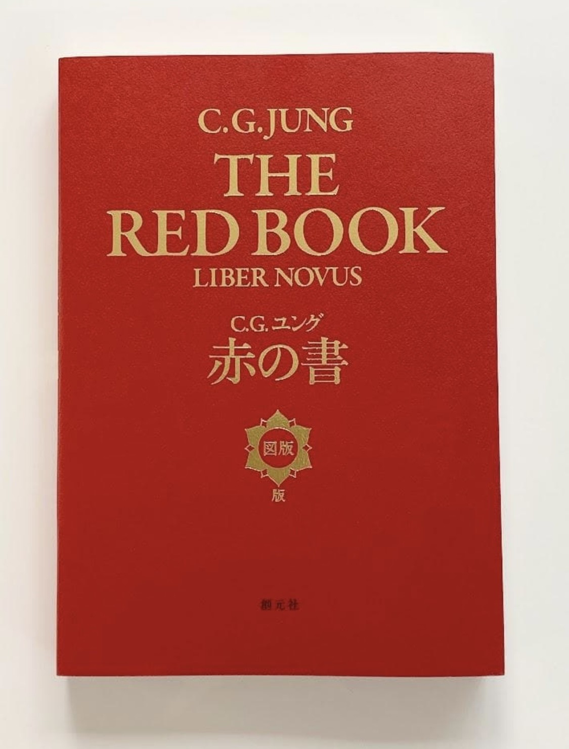 CG Jung THE RED BOOK [Illustrated Edition] Liber Novus Plates Rare Psychology