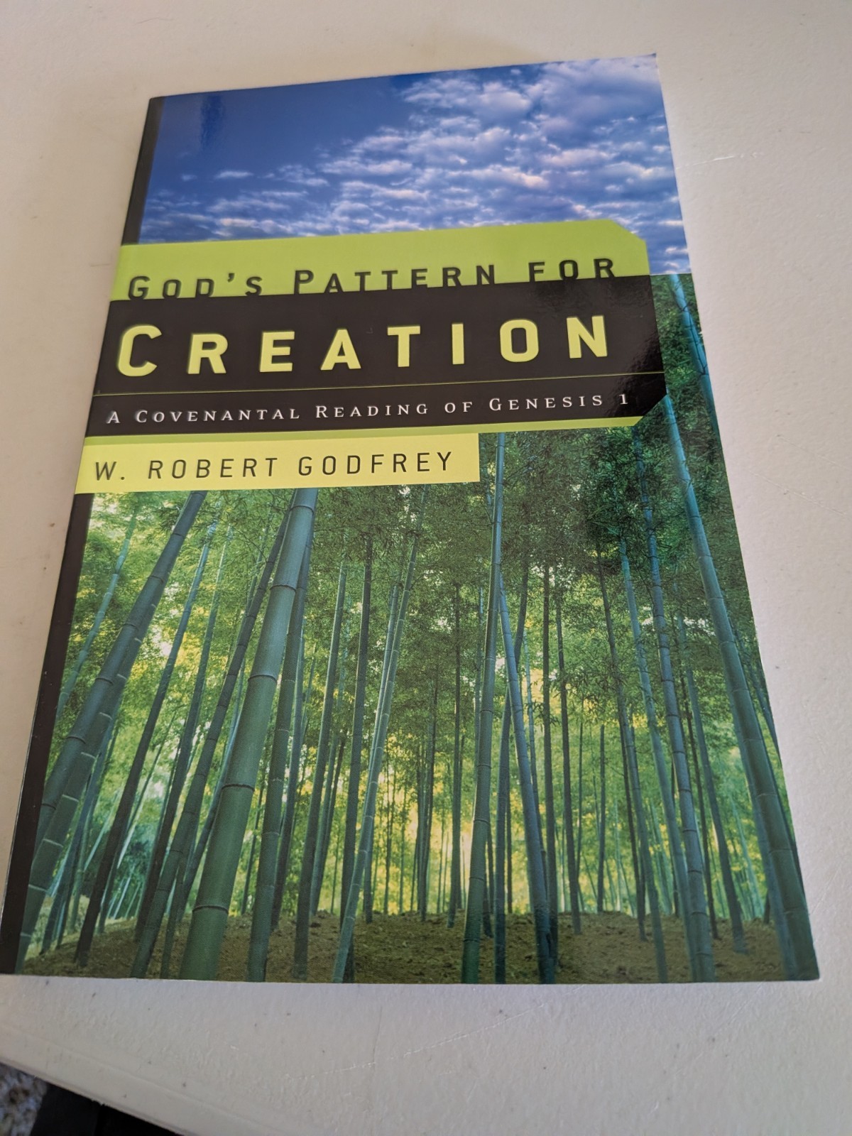 GOD’S PATTERN FOR CREATION, R Godfrey, PB, Very Good,P&R, 2003