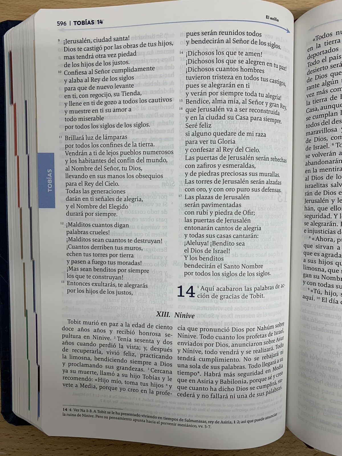 Biblia de Jerusalen Latinoamericana – The Great Adventure PIEL FULL COLOR