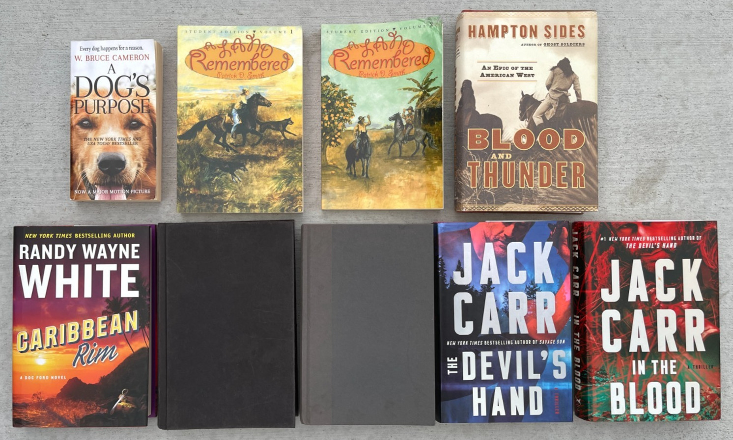 9 Book Lot Jack Carr Randy Wayne White Thrillers Military Historical Fiction