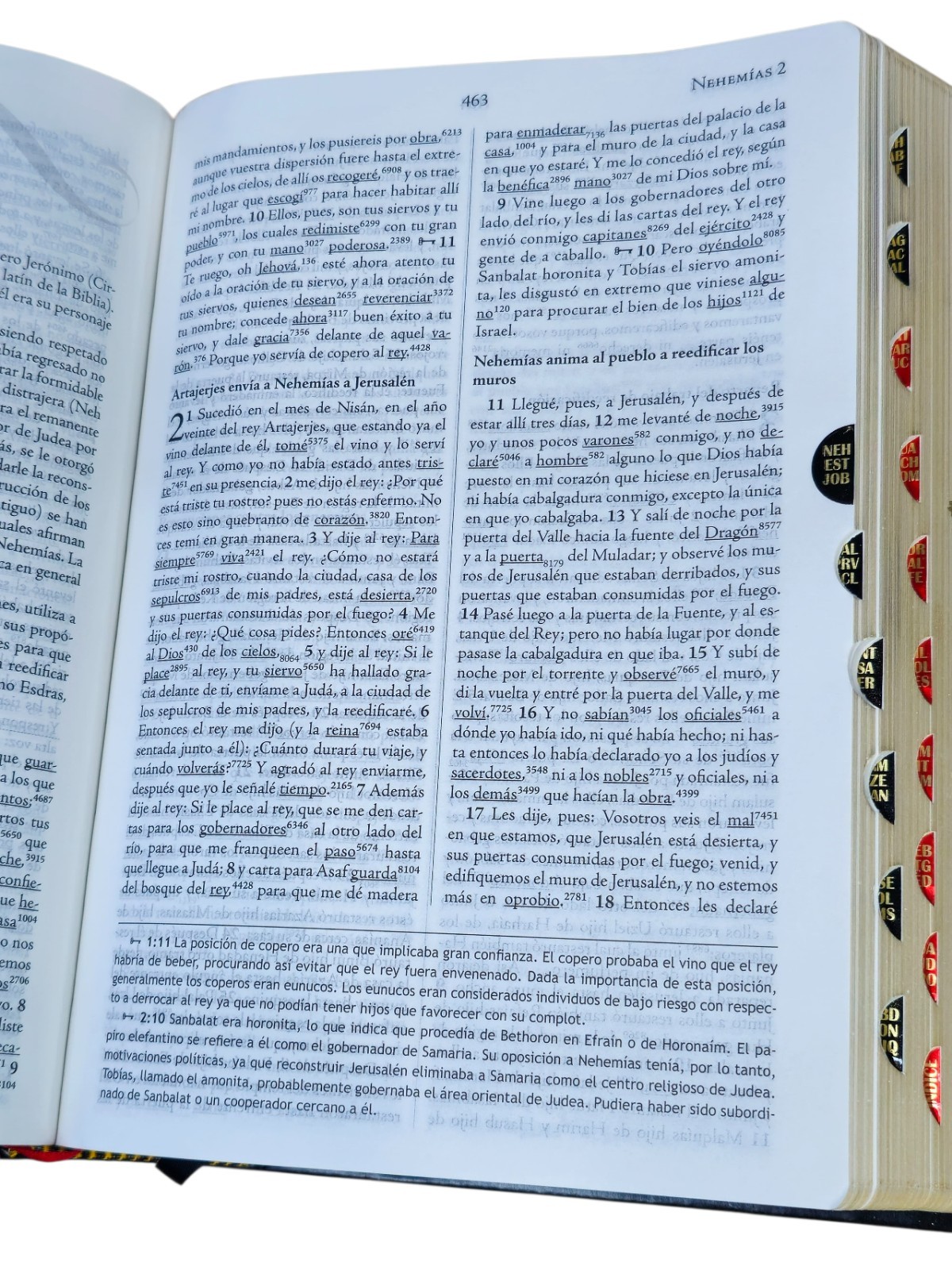 Biblia de Estudio Palabra Clave RV1960, con diccionario en hebreo Indice Negro
