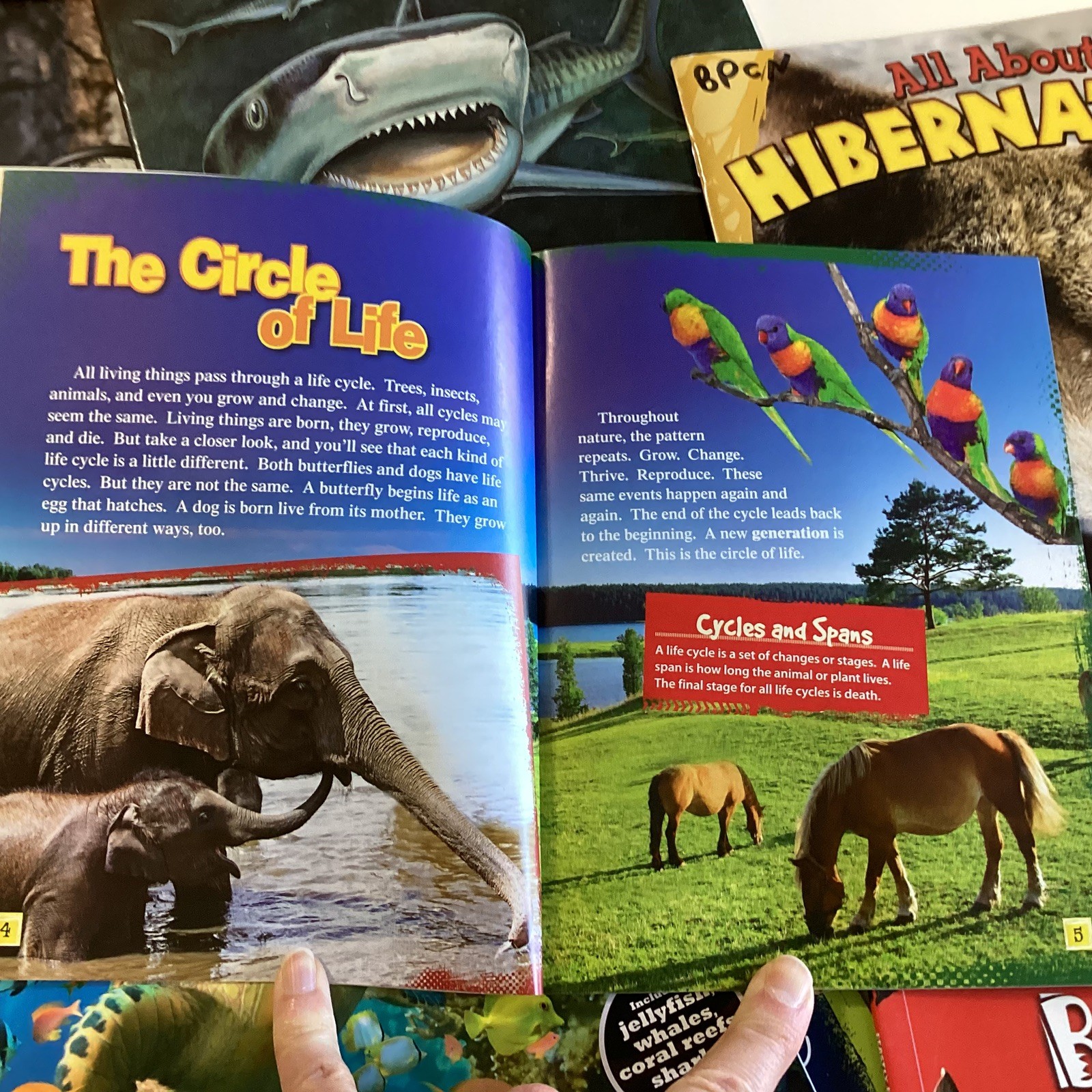 Children’s Random Animal Science Nonfiction Education Classroom 20 Book Lot