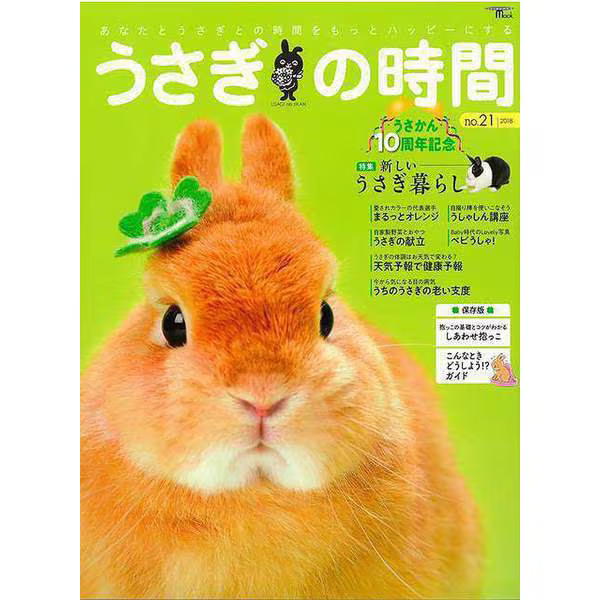 Rabbit Time No.21 Manga Book Japan Import Authentic