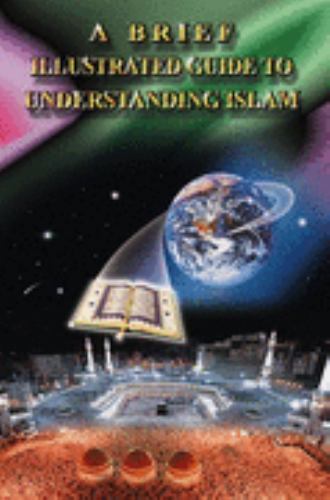 A Brief Illustrated Guide to Understandin- 9789960340111, I a Ibrahim, paperback
