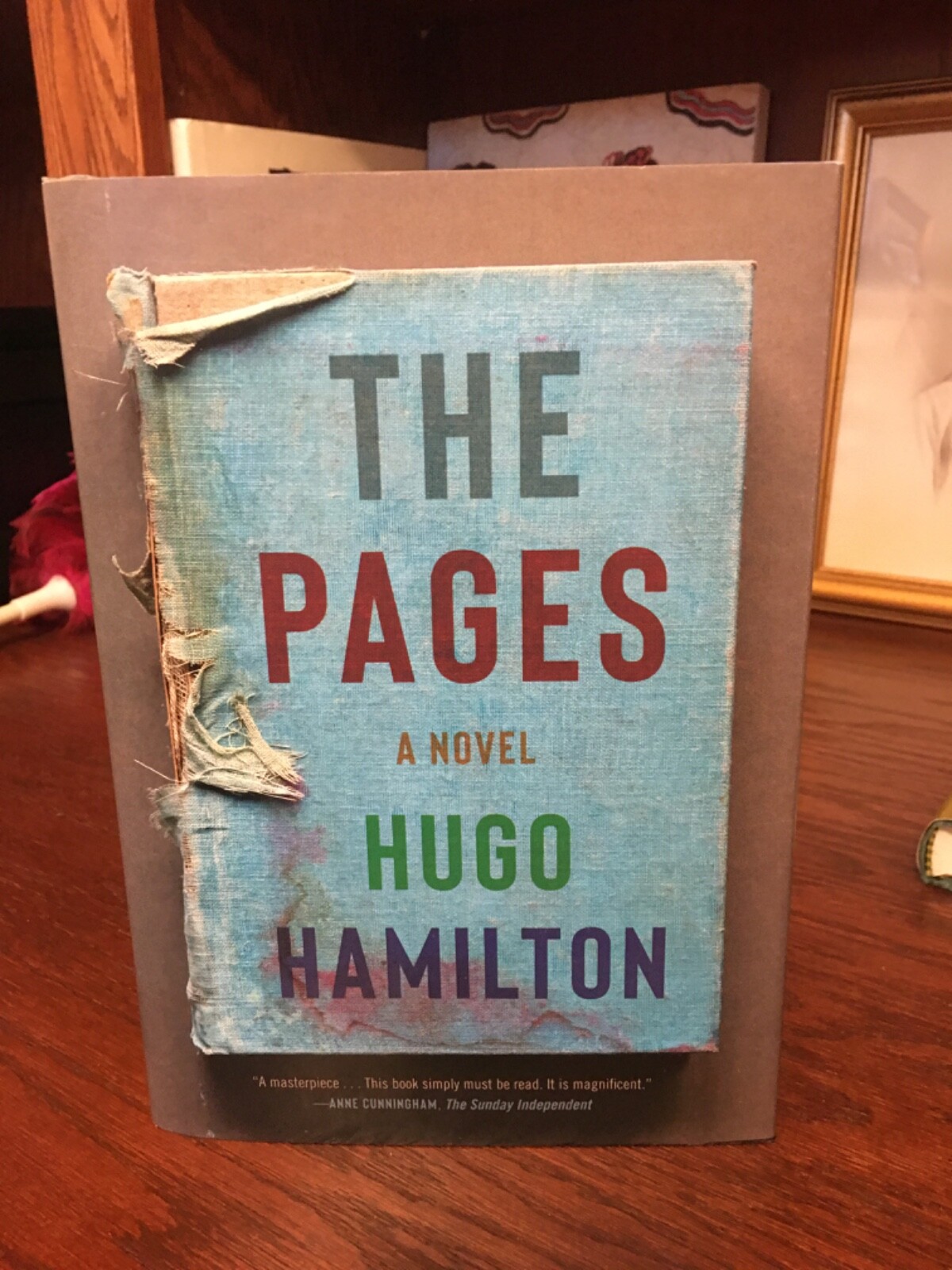 The Pages. Hugo Hamilton. 1st HC Ptg. Knopf 2022. Fine Unread