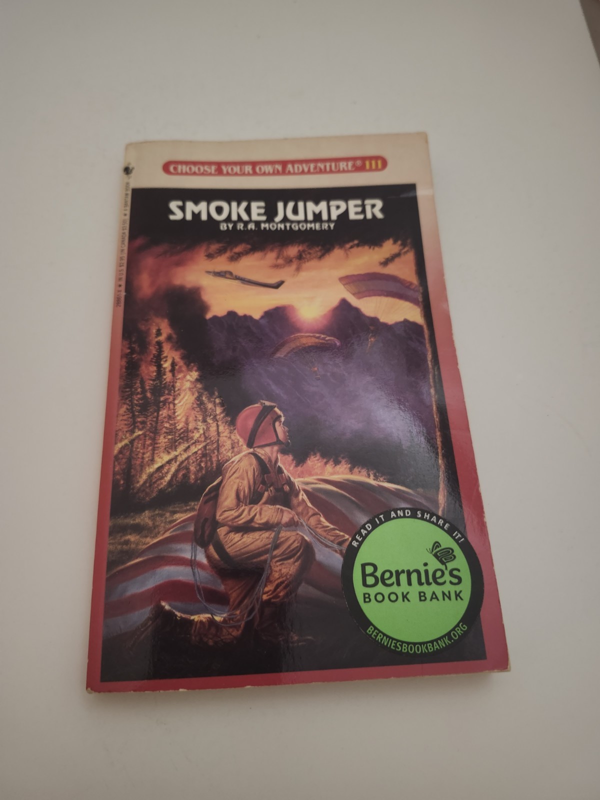 Smoke Jumpers by R. A. Montgomery (1991, Digest Paperback)