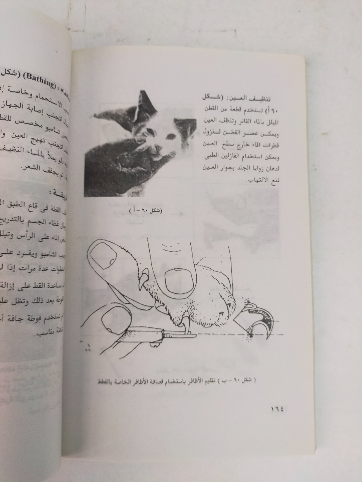 3 Pets books كتب تربية القطط و اسماك الزينة والسلاحف المائية و تغذية الحيوان