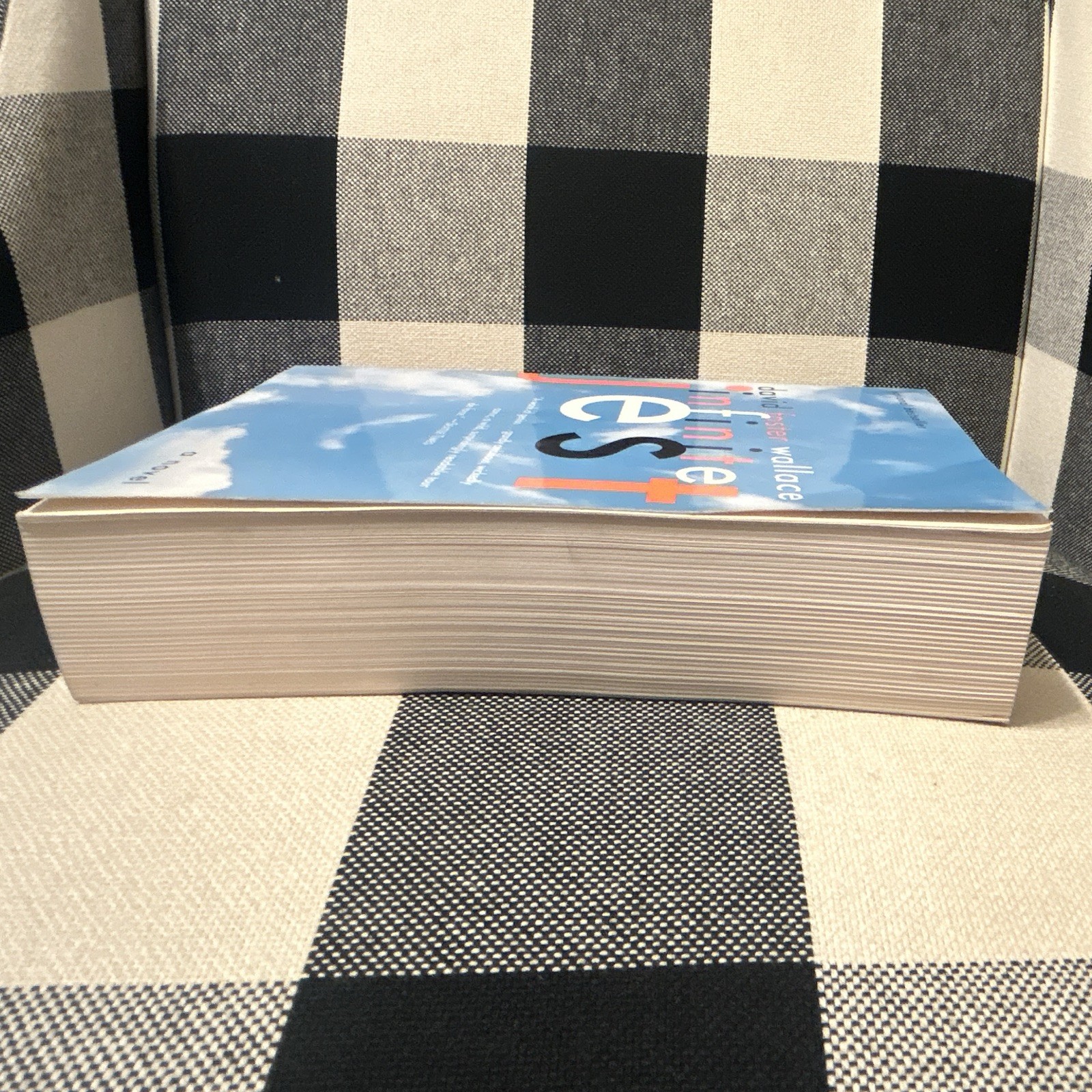 David Foster Wallace Infinite Jest First Paperback Edition First Printing