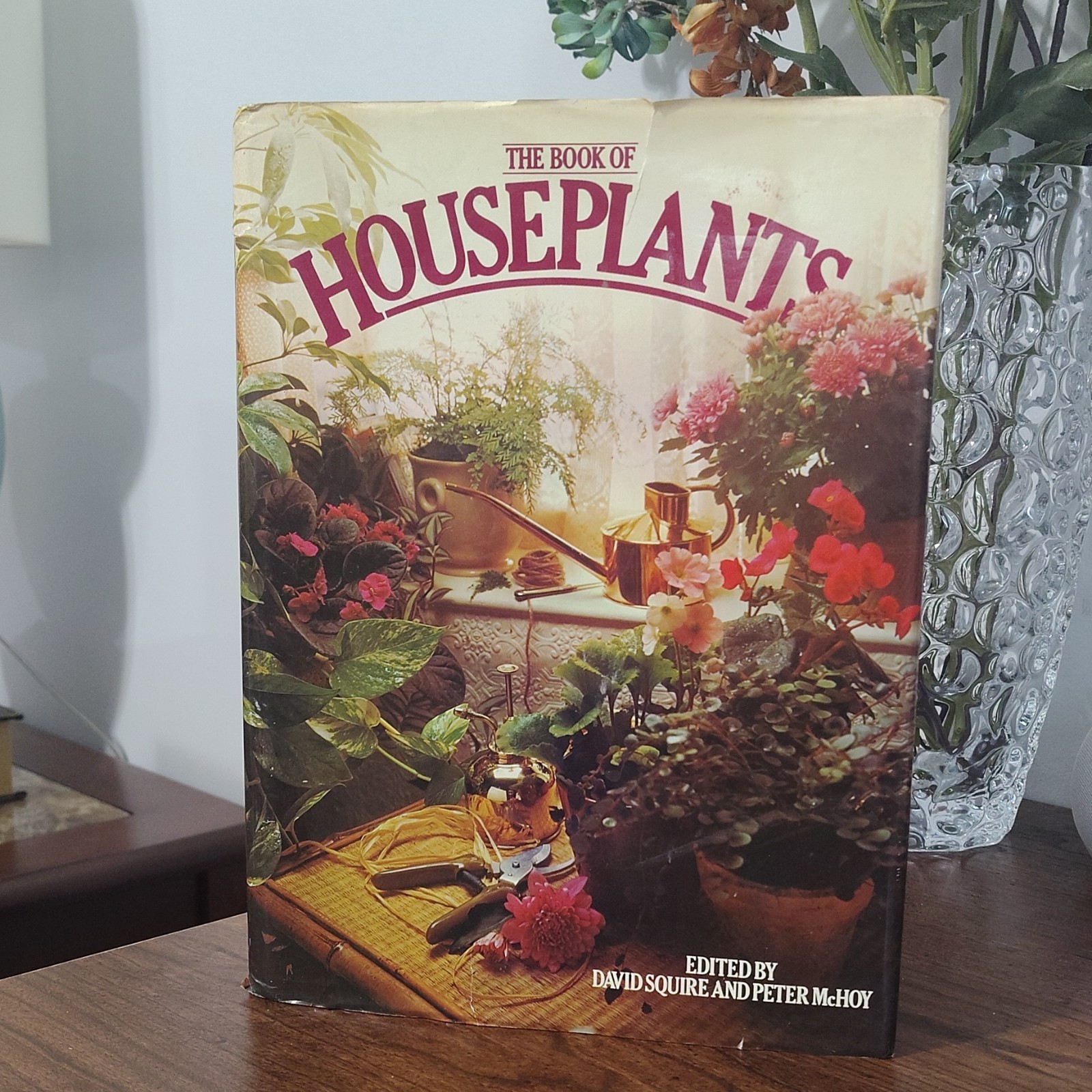 The Book of Houseplants by David Squire & Peter McHoy (1979, Hardcover, Octopus)