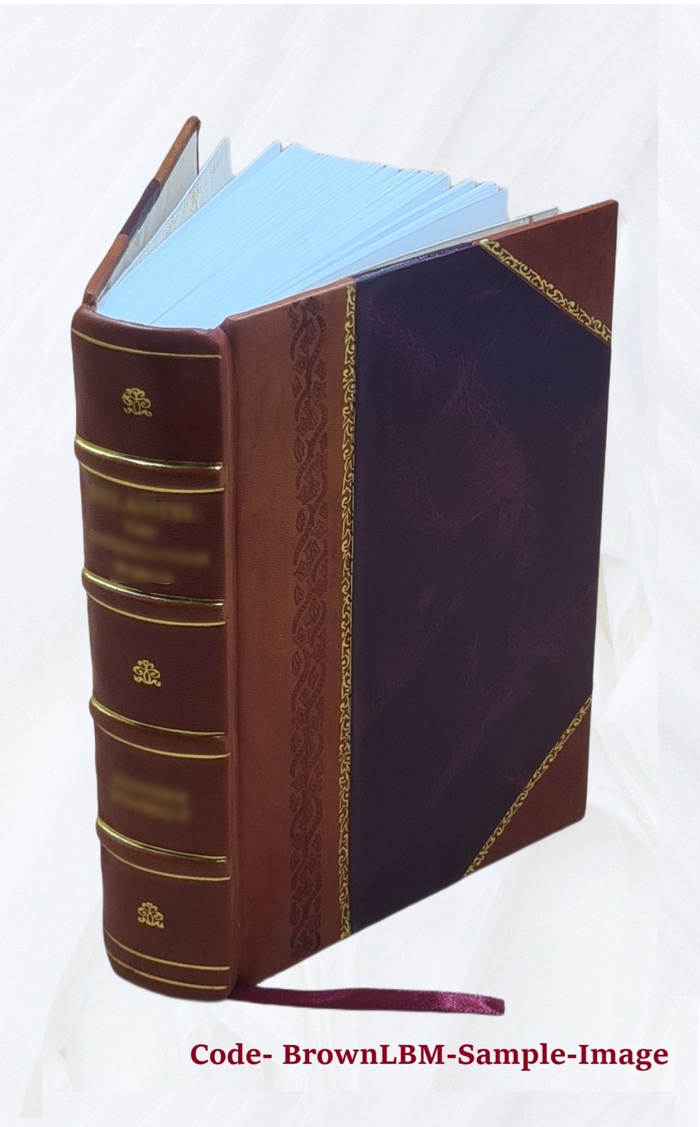 Athanasii Kircheri e Soc. Jesu mundus subterraneus, in XII libro [Leather Bound]