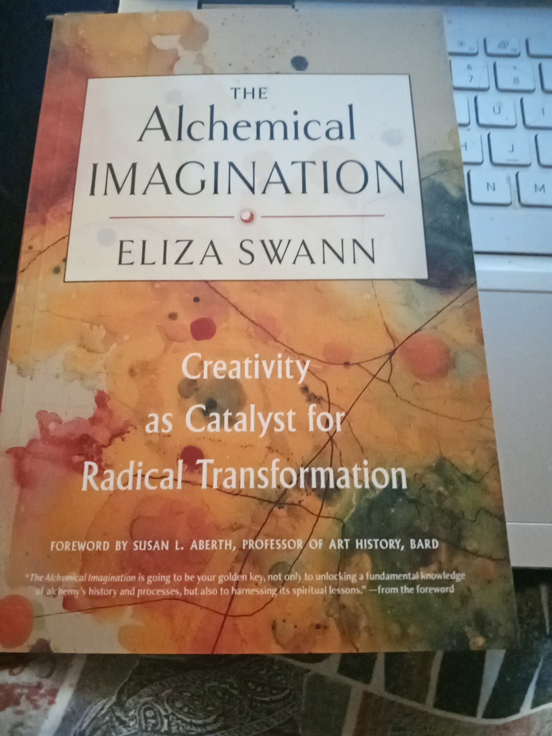 Alchemical Imagination : Creativity As Catalyst for Radical Transformation by…
