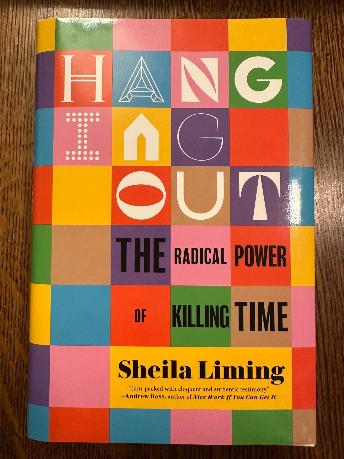 Hanging Out by Sheila Liming (2023, HC) SOCIOLOGY SOCIAL SCIENCE LIKE NEW