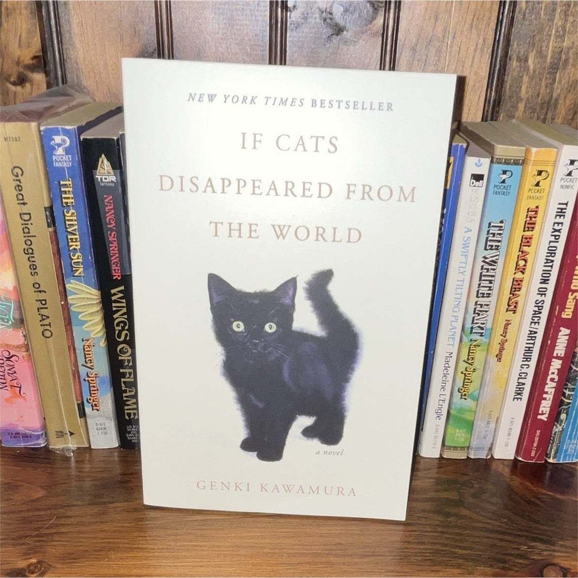Genki Kawamura If Cats Disappeared from the World English Trade Paperback